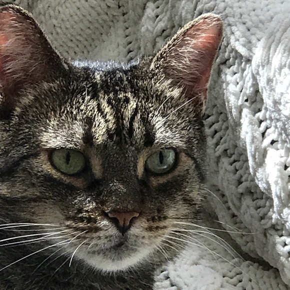 Meet your Posher, Sanddra - Picture 5 of 16